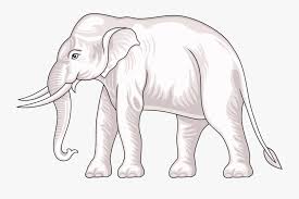 Transparent Elephant Png Images Thailand Thailand Culture White Elephant Free Transparent Clipart Clipartkey To created add 34 pieces, transparent elephant images of your project files. transparent elephant png images