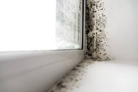 Provides a long lasting, flexible and watertight seal. Identifying Mold Under Caulk Silicone Depot