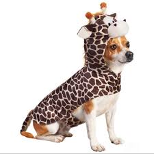 Petco Giraffe Dog Costume L Nwt