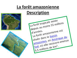 La nouvelle communauté est sur notre application. La Foret Amazonienne Description Ppt Video Online Telecharger