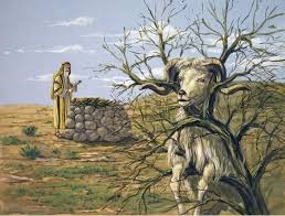 Abraham Sacrifices Isaac With Ram Google Search Abrahamisaacandjacob Biblical Art Bible Art Bible Artwork