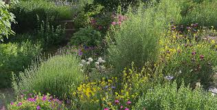 Das sind die grundlagen der gartengestaltung. Wildpflanzenbeet Selber Planen Und Anlegen