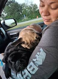 Road Trip Experiences and Trust in Driving