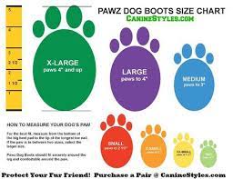 Many puppies with large paw sizes have only grown into medium sized dogs whereas many pups with paws that aren't anything to speak of have been known to develop into large dogs. Dog Booties Guide Dog Boot Size Chart Canine Styles