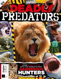 Disorders that can cause an increase in appetite include hyperthyroidism, diabetes mellitus, exocrine pancreatic insufficiency, inflammatory bowel disease, and rarely, feline acromegaly. World Of Animals Bookazine 2666 Sampler By Future Plc Issuu