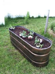 Check spelling or type a new query. Pin By Nancy Oh On Garden Water Trough Raised Garden Small Raised Vegetable Garden