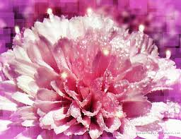 Publicat pe 15 martie 2017 in inspire. Imagini Miscatoare Gifuri Cu Sclipici Stralucesc Blog Informatii Urari Mesaje Felicitari Zi Nastere La Multi Ani De Sfanta Maria Gif