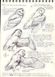 Everyone can create great looking drawings! Bird Reference Animal Drawings Bird Drawings Animal Sketches