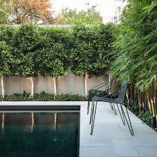 Malvern House Melbourne Australia Contemporary Spaces Melbourne Ddb Design Development Building Bamboo Garden Backyard Garden Backyard