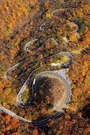 We did not find results for: Pin On Travel