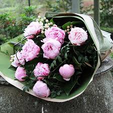 Check spelling or type a new query. Pink Peonies Delivery Melbourne Flowers For Everyone