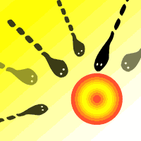 Wann ist eine frau am fruchtbarsten? Fruchtbare Tage Berechnen So Bestimmen Sie Ihren Eisprung