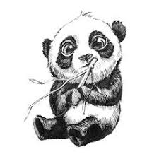 Black And White Cute Baby Panda Drawing Cute Adorable Baby Panda Bear Illustration Hand Drawn Sketch Of Panda Bear Eating Bamboo Isolated On White Background Panda Drawing Panda Art Panda Artwork