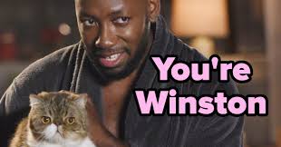 New Girl" Roommate Personality Quiz