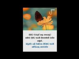 Adara wadan hithata danena wadan. Wadan Sara Wadan Hithata Wadina Wadan Sinhala Wadan à¶'à¶š à¶´ à¶½à¶§ Youtube