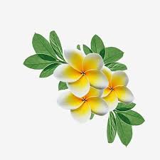 Watercolor Flower Yellow Flowers Png Spring Flowers Clipart Flowers Flower Png Transparent Clipart Image And Psd File For Free Download In 2020 Watercolor Flower Background Watercolor Flowers Flower Painting