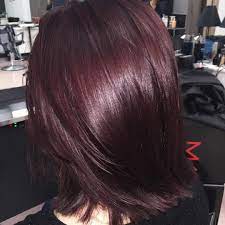 Pin By Lily Drlt On Hair Nail Ideas Mahogany Hair Wine Hair Hair Styles