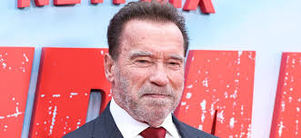 Arnold Schwarzenegger Sued Over Car Accident That Left Woman 'Permanently  Disabled'
