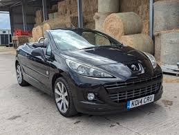 Image result for Nocciola 2014 Peugeot