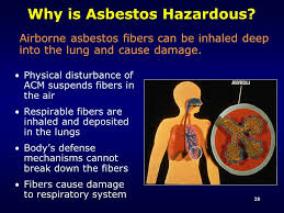 Image result for images Airborne Asbestos Fibers