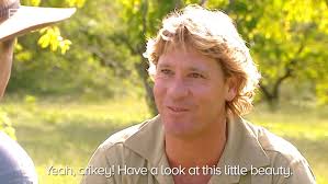 Steve Irwin