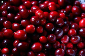 Cranberry Compound Packs Powerful Cancer Punch Meyer Cancer Center