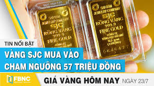 Cập nhật thông tin chi tiết về tin tức, bảng giá, nhận định xu hướng thị trường giá vàng 9999 sinh diễn mới nhất ngày 05/08/2021 trên website binhvinamphuong.com.hy vọng nội dung bài viết sẽ đáp ứng được nhu cầu của bạn, chúng tôi sẽ thường xuyên cập nhật mới nội dung giá vàng 9999 sinh diễn để. 8 2021 Thong Tin Gia Vang Sjc Sinh Dien Bac Ninh Má»›i Nháº¥t Xem 54 747 Saigonhkphone Com