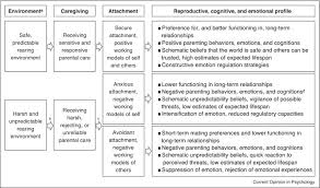 Relationships perhaps stem from their childhood. Attachment Within Life History Theory An Evolutionary Perspective On Individual Differences In Attachment Sciencedirect