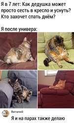 спать :: юмор (юмор в картинках) :: универ :: котэ (прикольные картинки с  кошками) / смешные картинки и другие приколы: комиксы, гиф анимация, видео,  лучший интеллектуальный юмор.