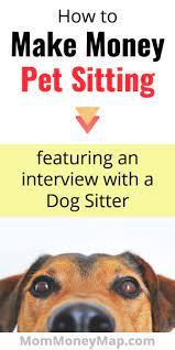 How To Become A Pet Sitter (2022): Rover Dog Walker Interview