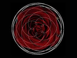 Taririh, the Goddess, and the Taliban | by Jennifer Conghalaigh | Queens  Children | Medium