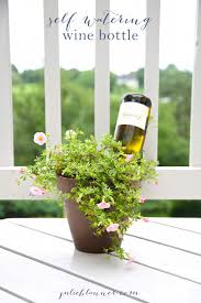 Self watering planters are a wonderful option to help you keep your houseplants healthy. How To Water Plants While Away Self Watering Wine Bottle Self Watering Containers Self Watering Plants Self Watering Bottle