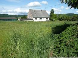 Telgte, warendorf · haus · einfamilienhaus · privat. Immobilien Telgte Haus Kaufen Nestani Bagrationi