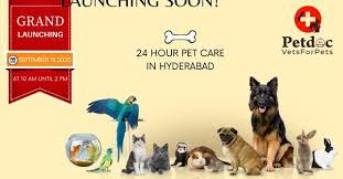 Maybe you would like to learn more about one of these? Pet Care Services May Clasf