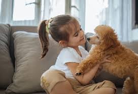 Person b would be at risk of cruelty while person a, who owns more animals, isn't. 10 Best Pets For Kids That You Can Consider For Your Child