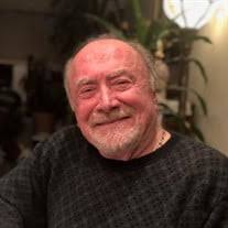 Vito DeSantis Obituary