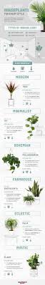 The prayer plant was mentioned by both team and pisegna as a plant that's safe for cats and dogs. 33 Low Light Houseplants To Bring Your Space To Life Apartmentguide Com