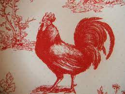 Watercolor animals wallpaper bottle painting rooster art painting supplies chicken decor rooster rooster decals pet birds. Red Chicken Wallpapers Top Free Red Chicken Backgrounds Wallpaperaccess