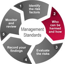Hse Stress Management Step 1 Identify The Hazards Stress Management Risk Management Risk Analysis