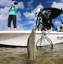 Fish Floridas Tampa Bay For Inshore Action And Variety