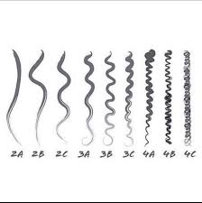 To figure out your hair type once and for all, use the strand and ponytail tests to determine your hair. Curl Types Curl Patterns 2a 2b 2c 3a 3b 3c 4a 4b 4c Natural Hair Styles Hair Type Chart Types Of Curls