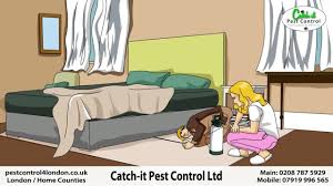 Thank you for visiting pestcontrolsolution.co.uk, we are a london based pest control company, specializing in treatment of pests in domestic and commercial premises. Pest Control East London Catch It Pest Control