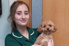 Medivet 24 Hour Swanland