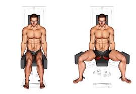 Das ganzkörpertraining für zu hause ist in vier kapitel unterteilt, die jeweils einen anderen schwerpunkt setzen und auf diese weise intensive reize an die jeweilige partien senden. á Oberschenkel Training Mann Fitness Studio Bilder Videos