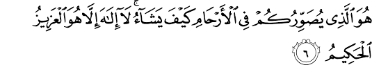 Surat ali 'imran ayat 8. Surat Ali Imran The Noble Qur An Ø§Ù„Ù‚Ø±Ø¢Ù† Ø§Ù„ÙƒØ±ÙŠÙ…