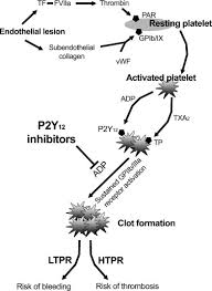 Image result for Platelet Function Closure Time