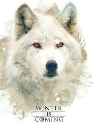 Game Of Thrones Game Of Thrones Ghost Game Of Thrones Art Got Game Of Thrones