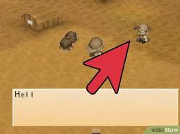 Harvest moon back to nature walkthrough pdf. How To Succeed In Harvest Moon Back To Nature With Pictures
