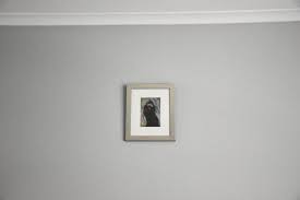 Dulux Tranquil Retreat Probably The Best Wall Colour For Your Home Stay At Home Dadding Best Wall Colors Dulux Tranquil Retreat Interior Wall Colors