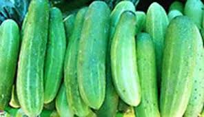 Cucumber Nutrition Facts And Health Benefits